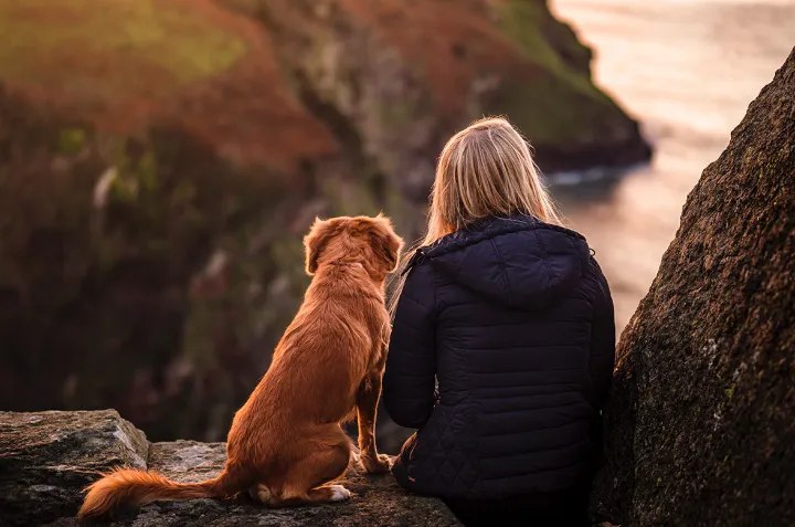 10 منطقه دوستدار سگ‌های خانگی در کانادا